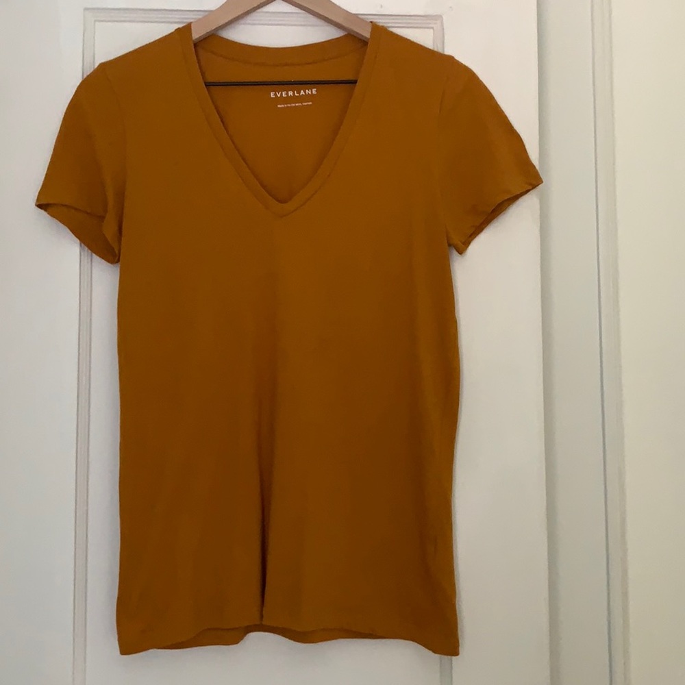 Everlane Cotton V neck in burnt orange